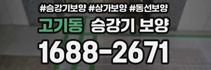 고기동 승강기 보양