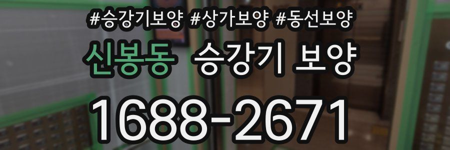 신봉동 승강기 보양