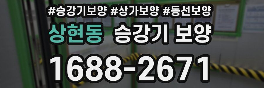 상현동 승강기 보양
