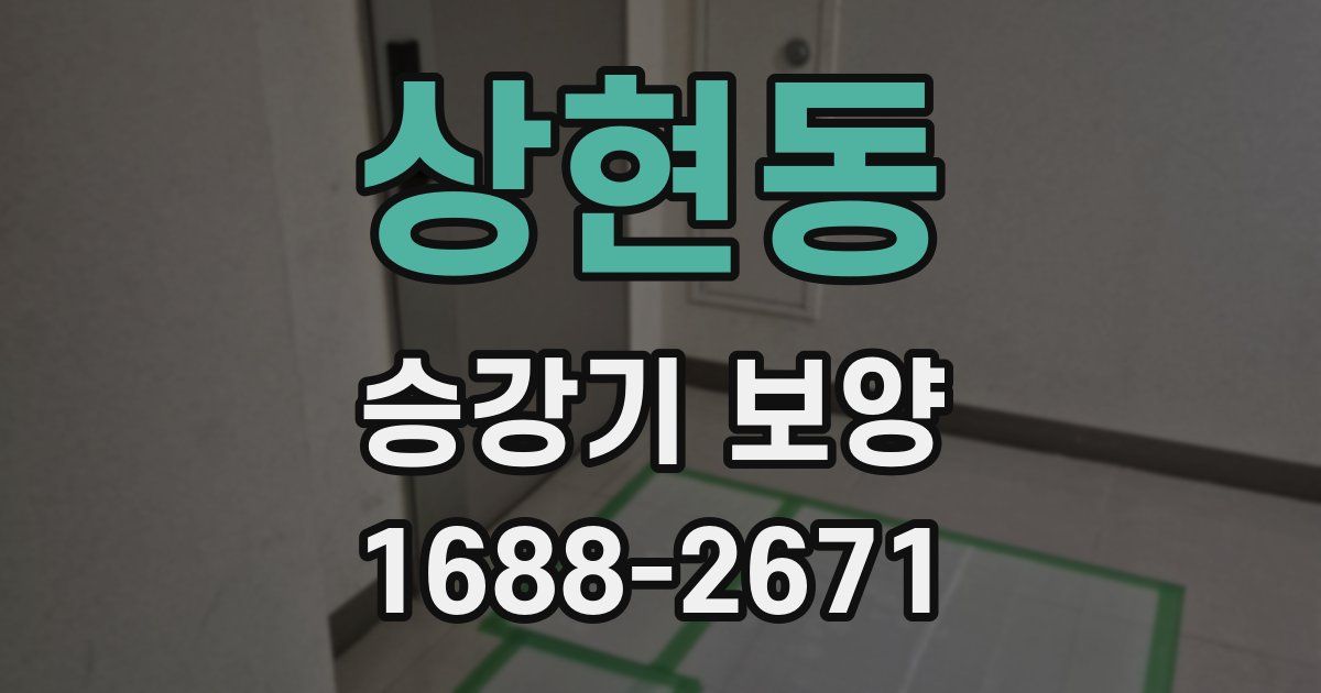 상현동 승강기 보양