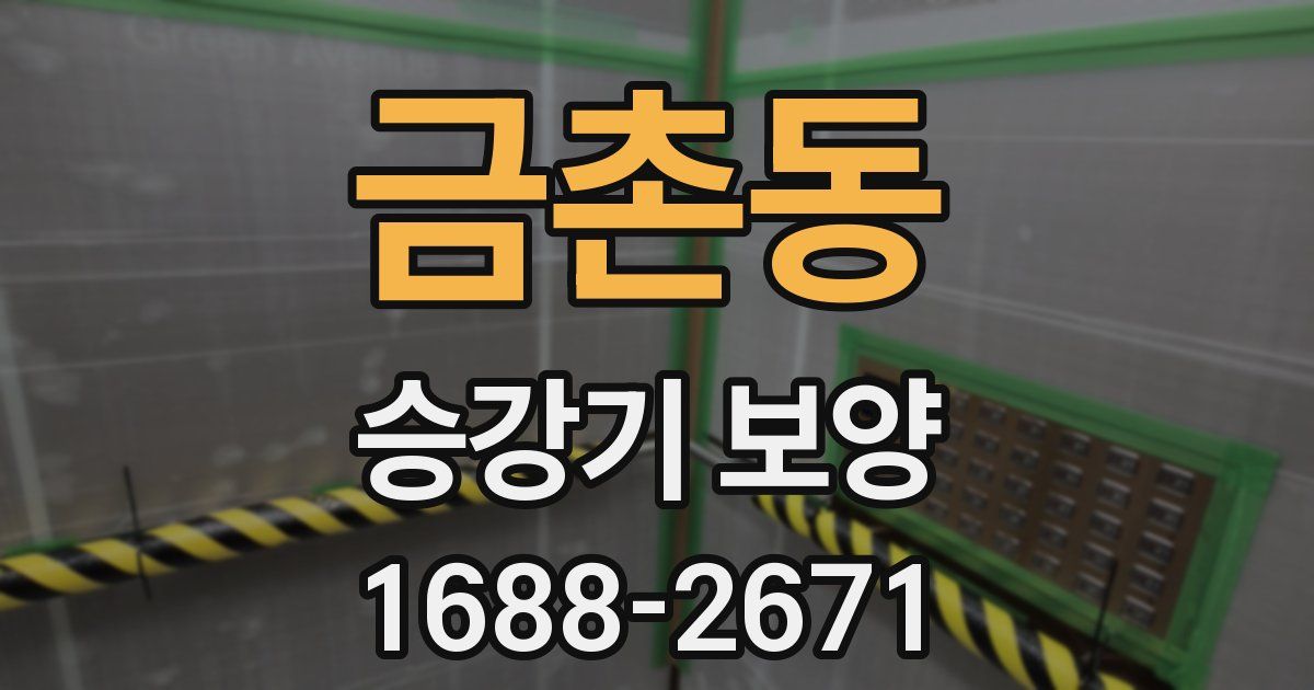 금촌동 승강기 보양