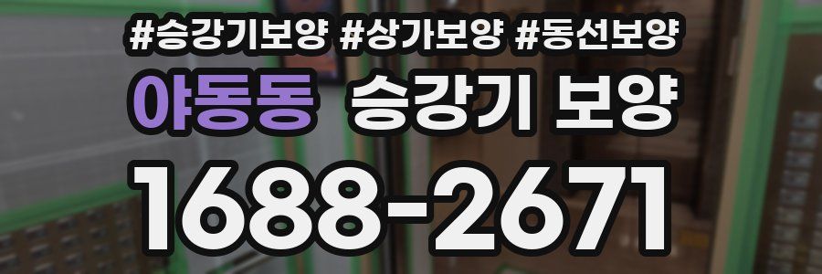 야동동 승강기 보양
