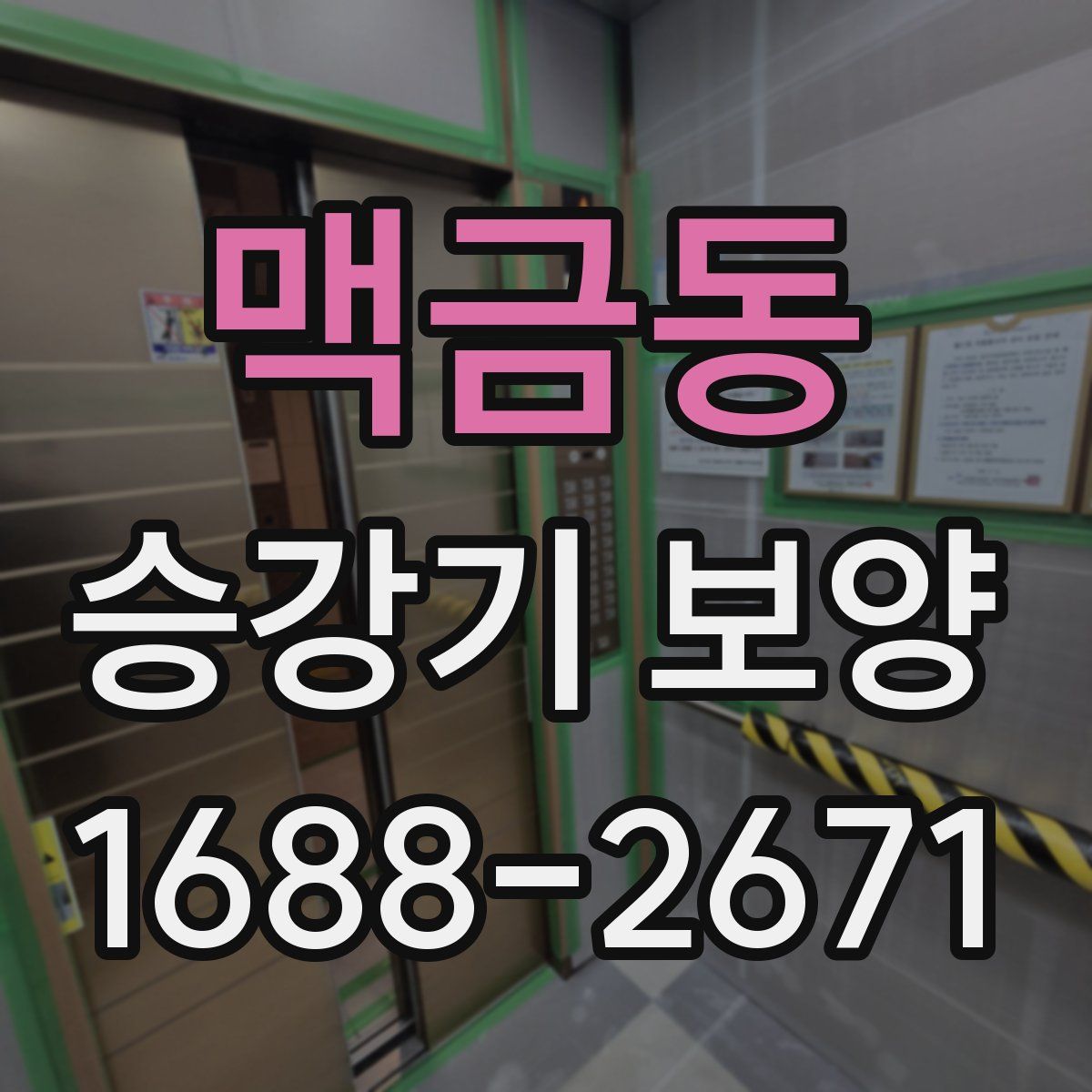 맥금동 승강기 보양
