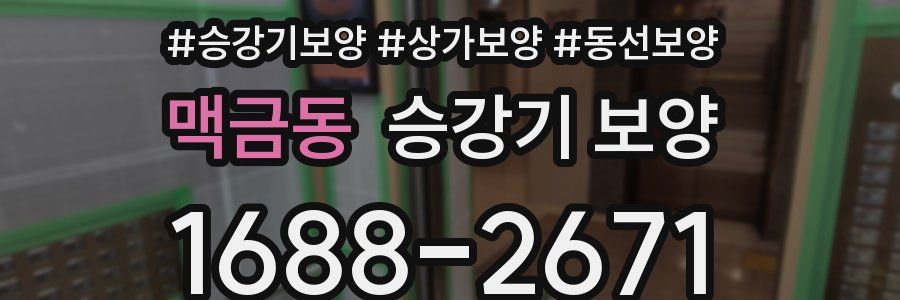 맥금동 승강기 보양