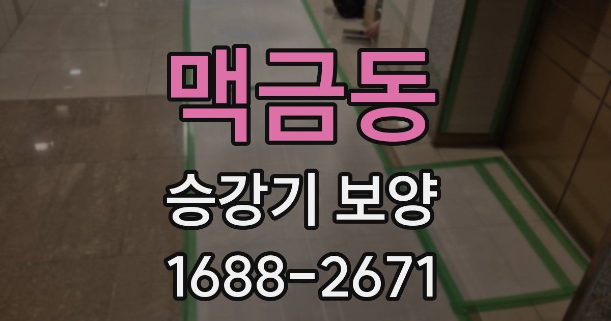 맥금동 승강기 보양