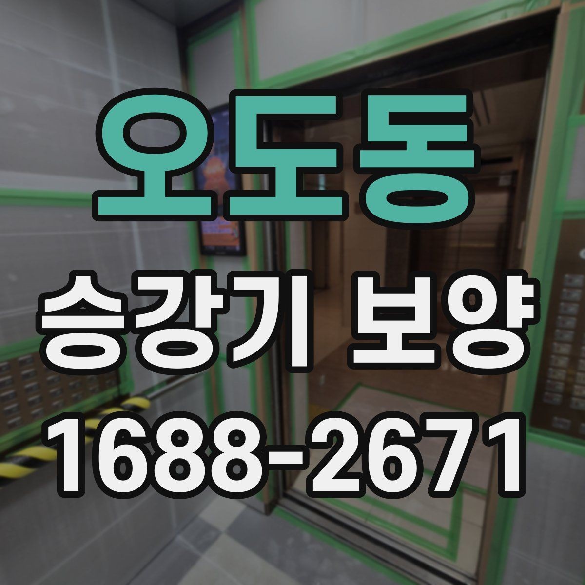 오도동 승강기 보양 시공 시 현장 보호가 필요한 이유