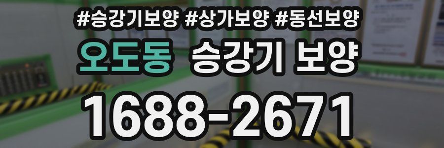 오도동 승강기 보양