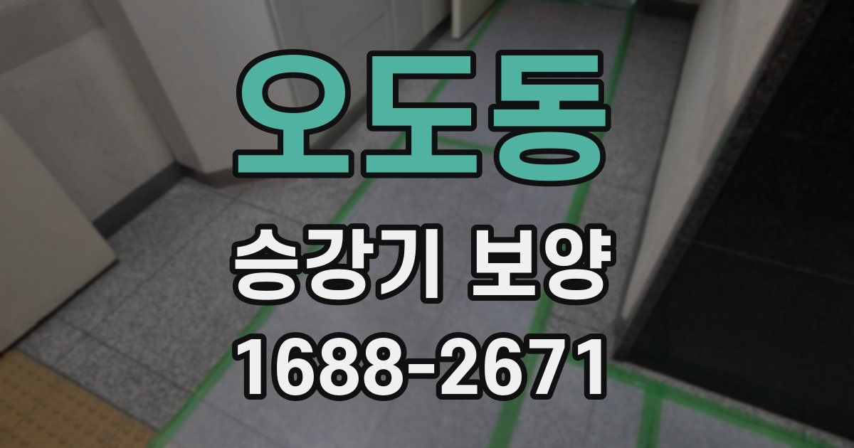 오도동 승강기 보양