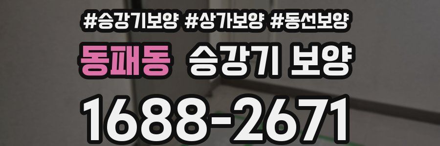 동패동 승강기 보양