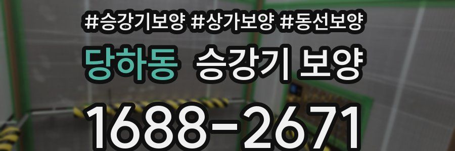 당하동 승강기 보양