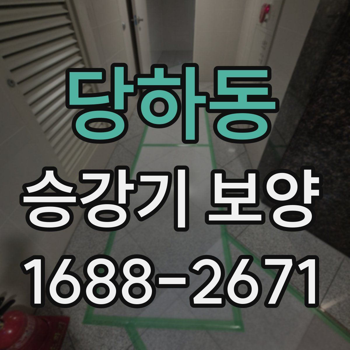 당하동 승강기 보양