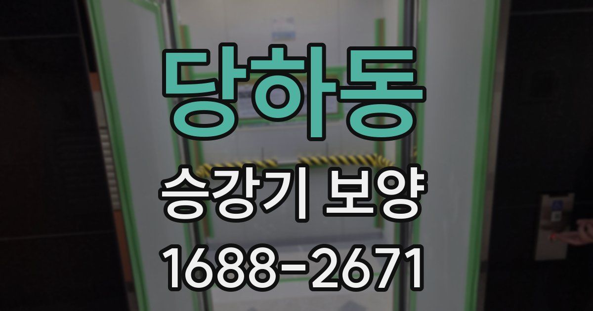 당하동 승강기 보양