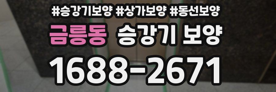 금릉동 승강기 보양