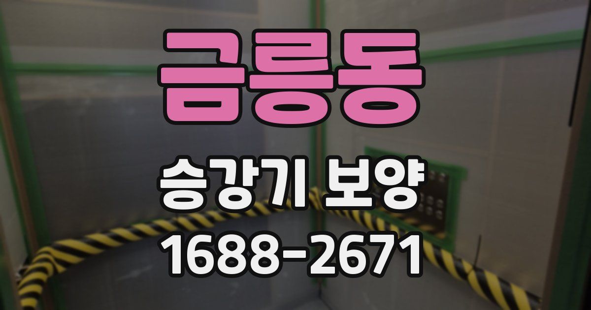 금릉동 승강기 보양