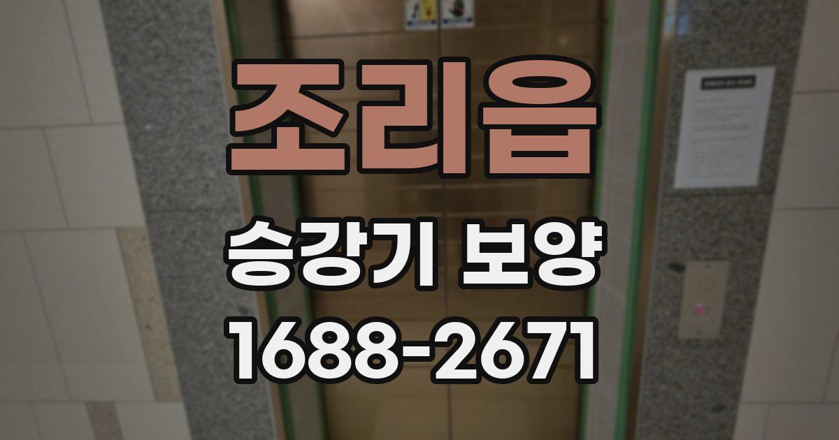 조리읍 승강기 보양