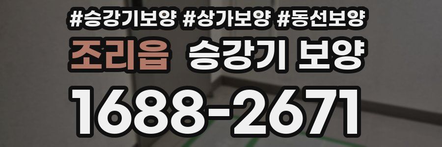 조리읍 승강기 보양