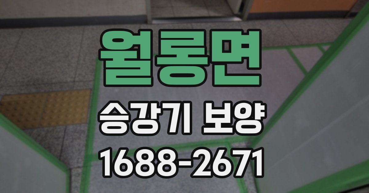 월롱면 승강기 보양