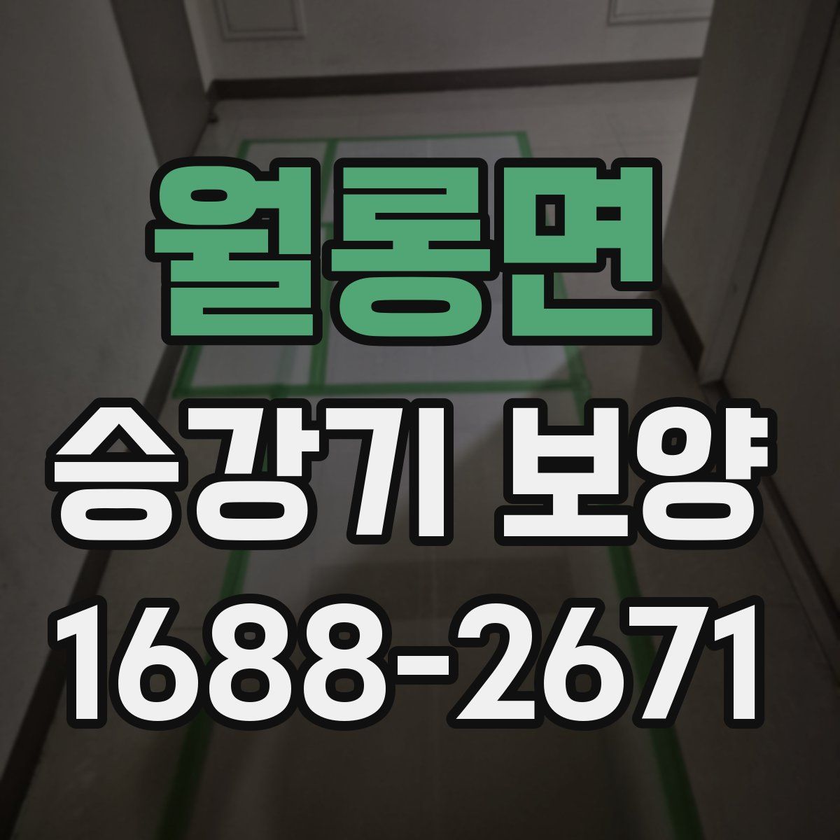 월롱면 승강기 보양