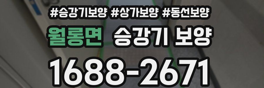 월롱면 승강기 보양