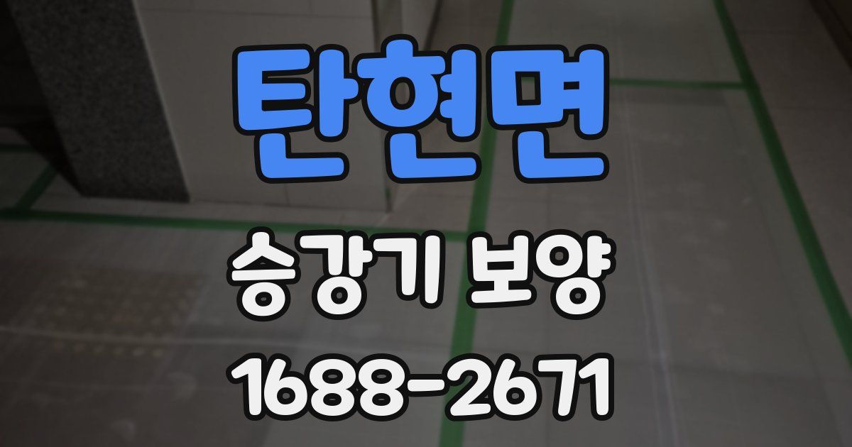탄현면 승강기 보양