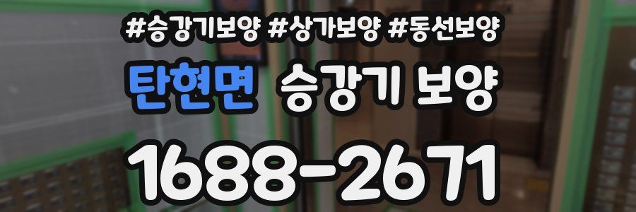 탄현면 승강기 보양