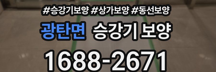 광탄면 승강기 보양