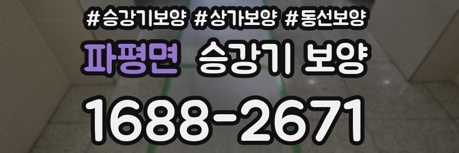 파평면 승강기 보양