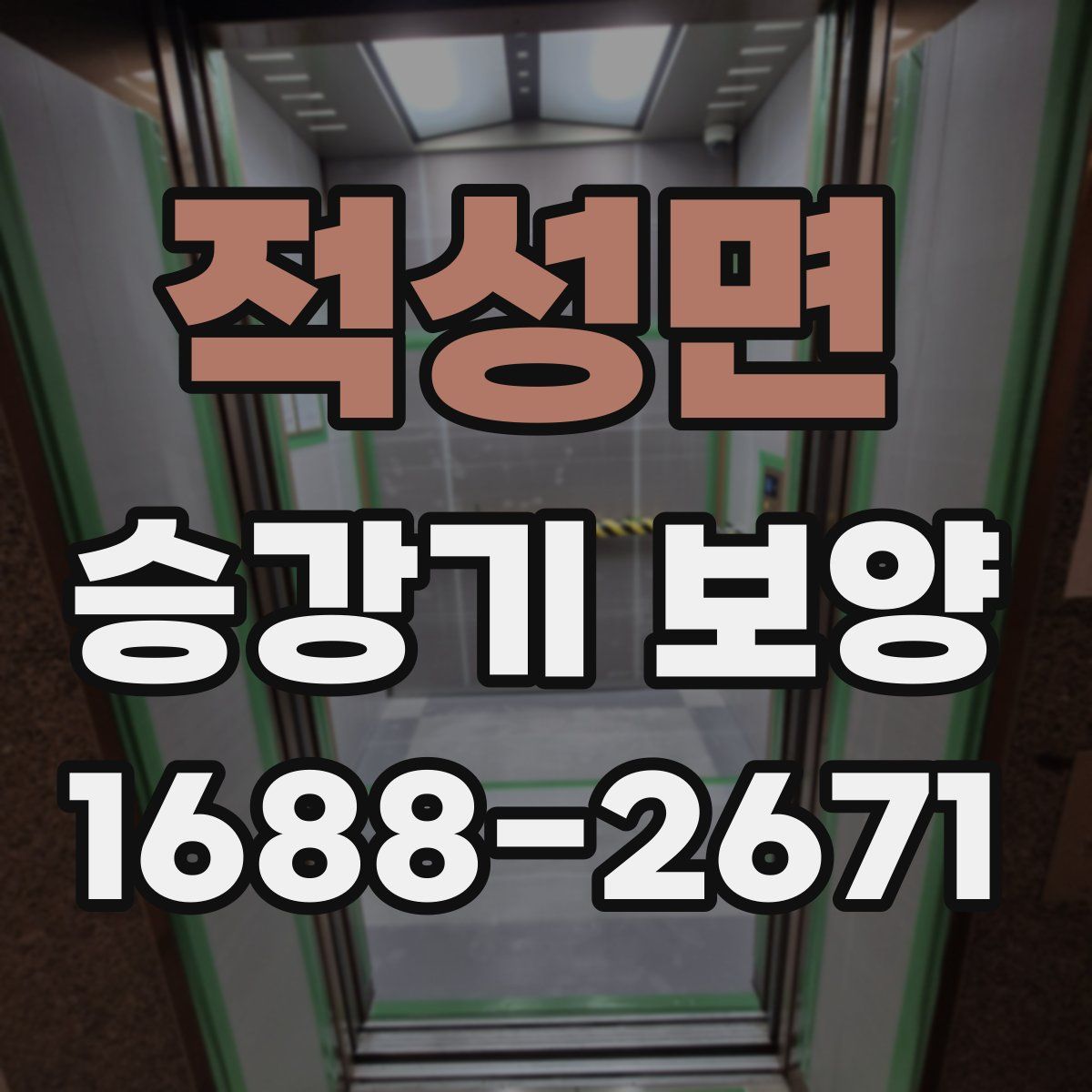 적성면 승강기 보양