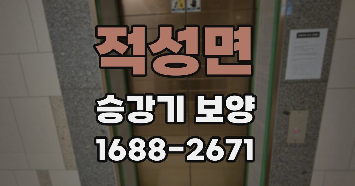 적성면 승강기 보양