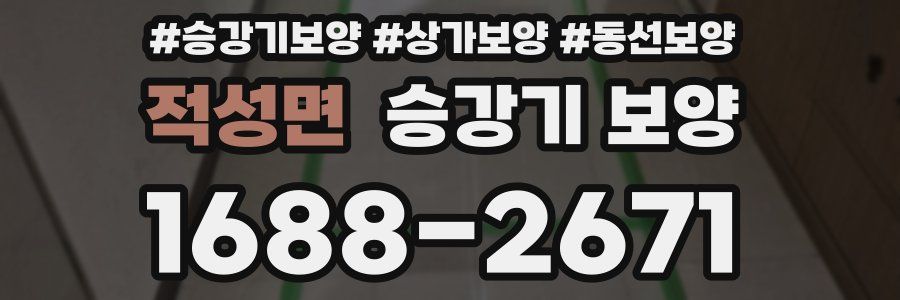 적성면 승강기 보양