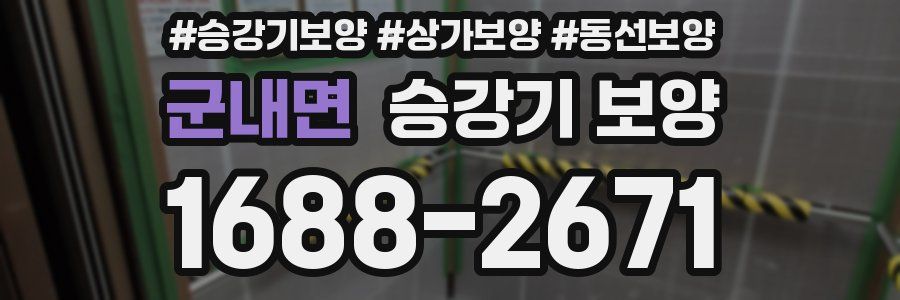 군내면 승강기 보양