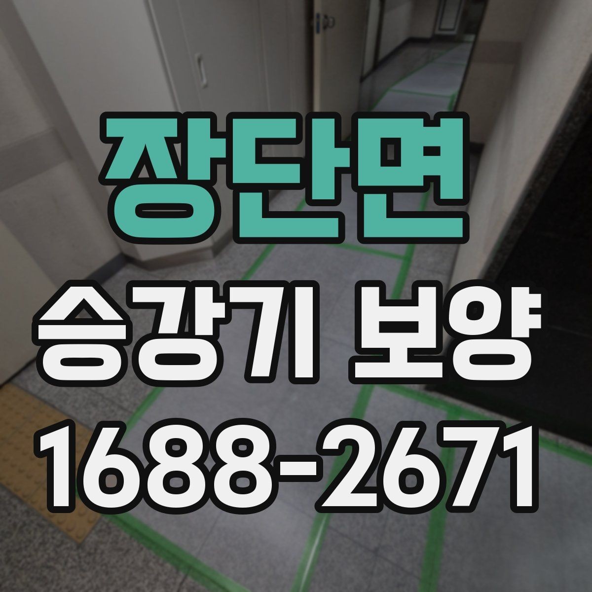 장단면 승강기 보양 품질을 확인하는 실무 기준