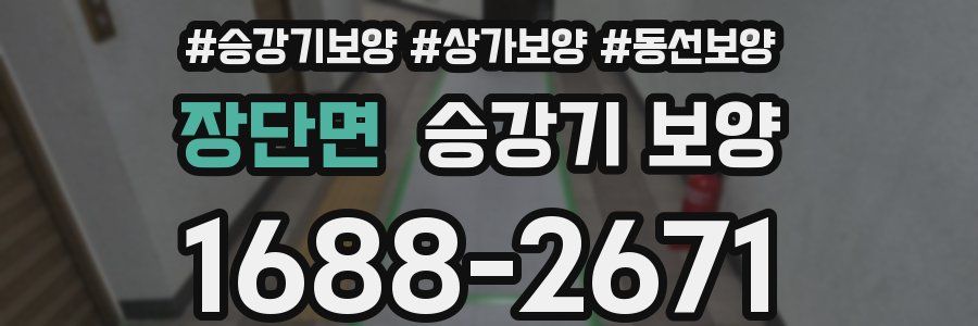 장단면 승강기 보양
