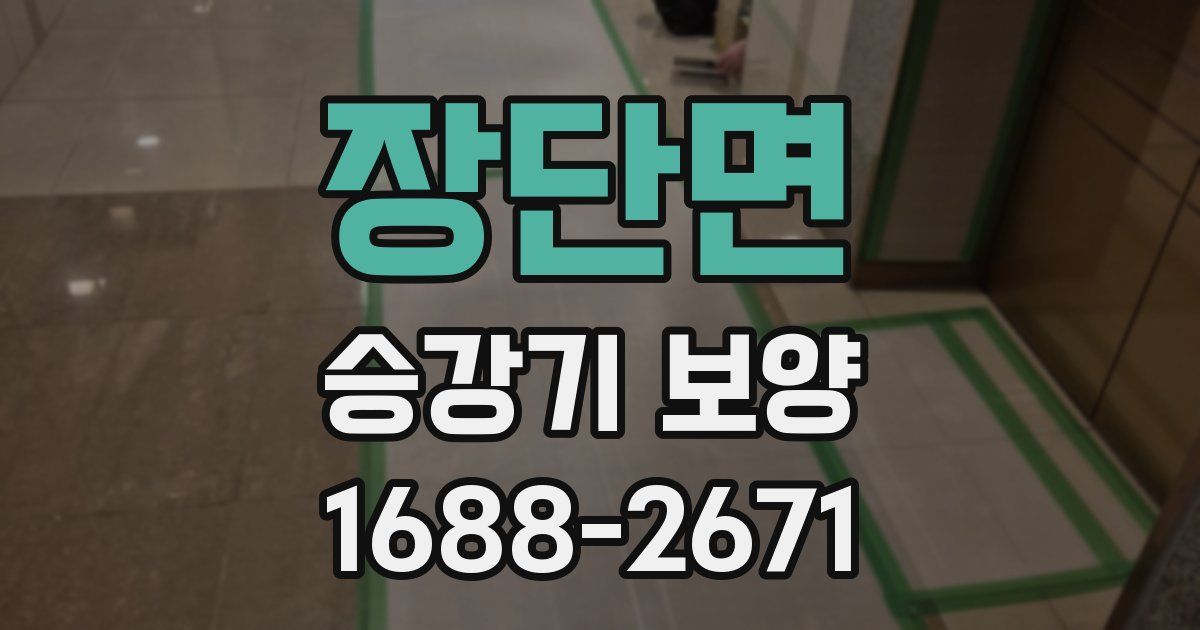 장단면 승강기 보양