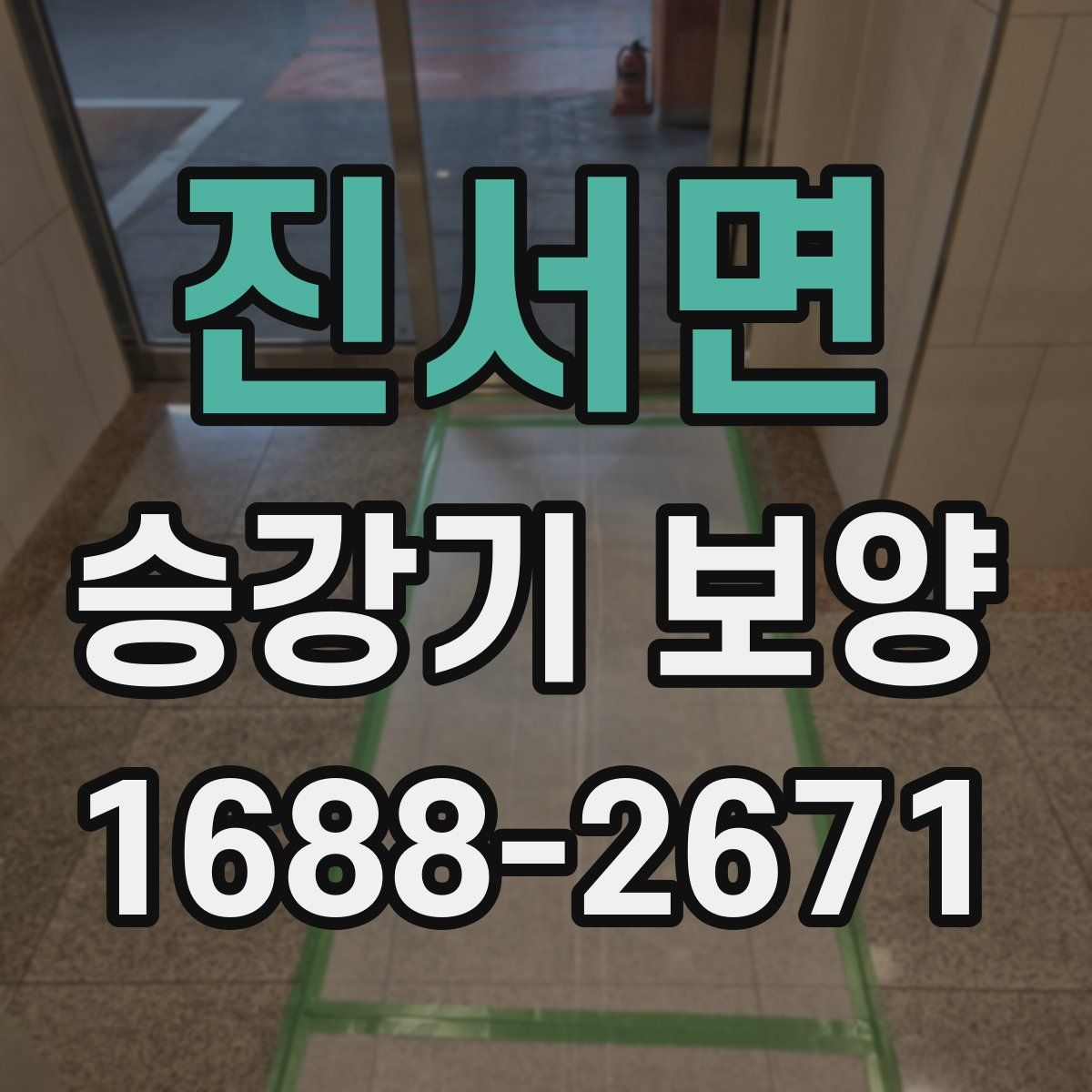 진서면 승강기 보양