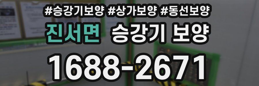 진서면 승강기 보양