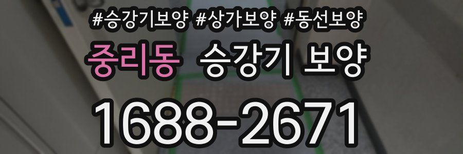 중리동 승강기 보양