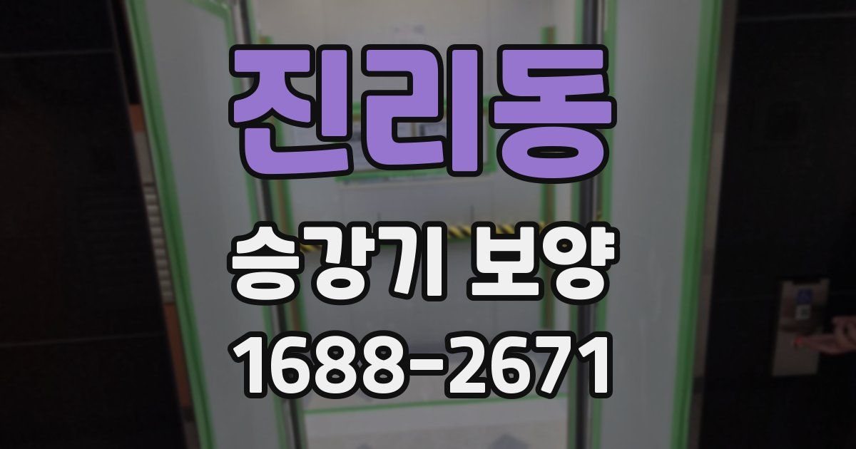진리동 승강기 보양