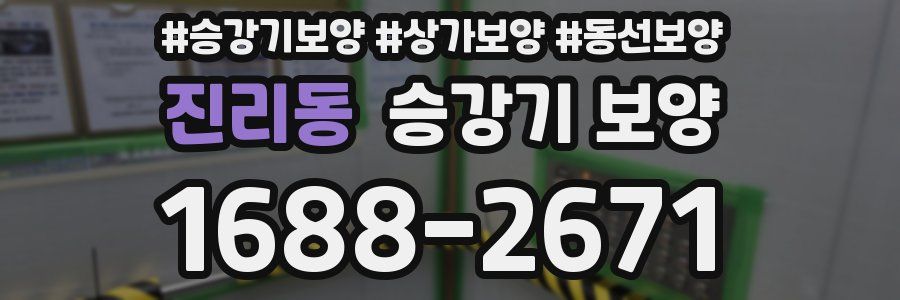 진리동 승강기 보양