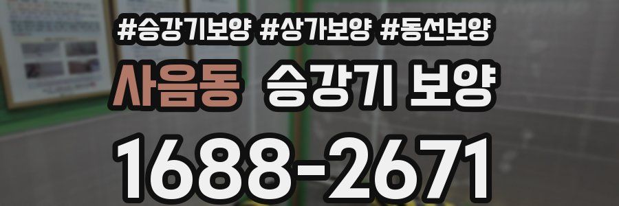 사음동 승강기 보양