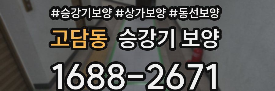 고담동 승강기 보양