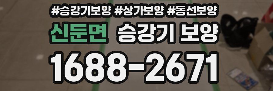 신둔면 승강기 보양