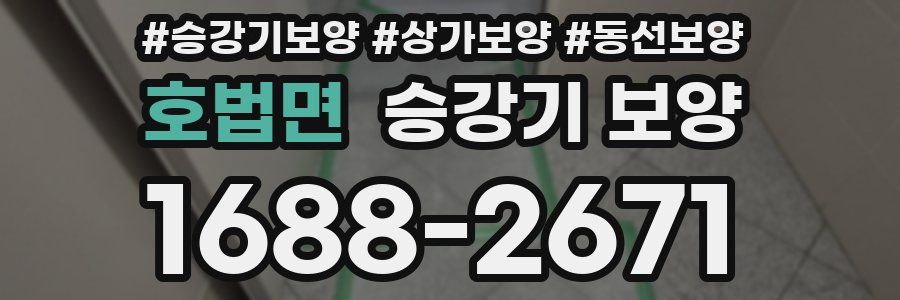 호법면 승강기 보양