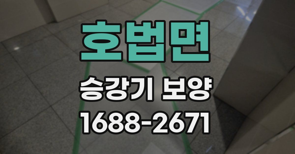 호법면 승강기 보양