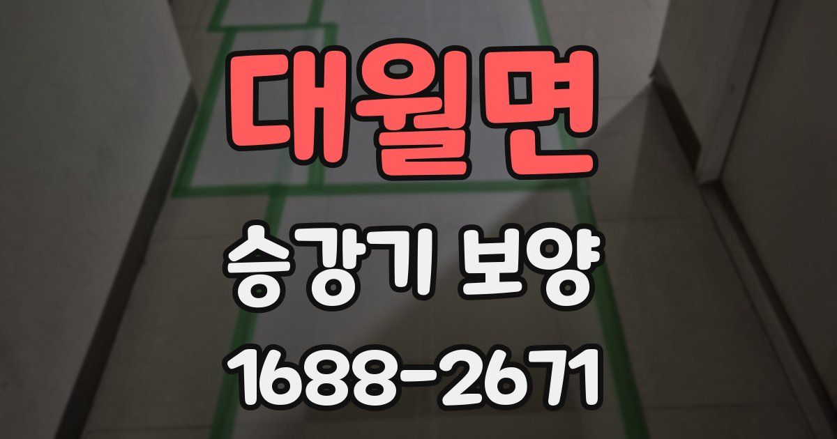 대월면 승강기 보양