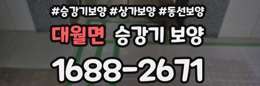 대월면 승강기 보양