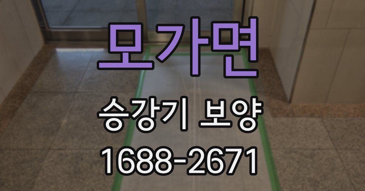 모가면 승강기 보양