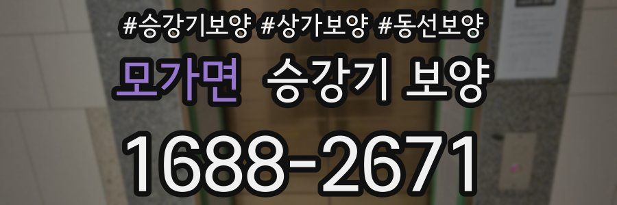 모가면 승강기 보양
