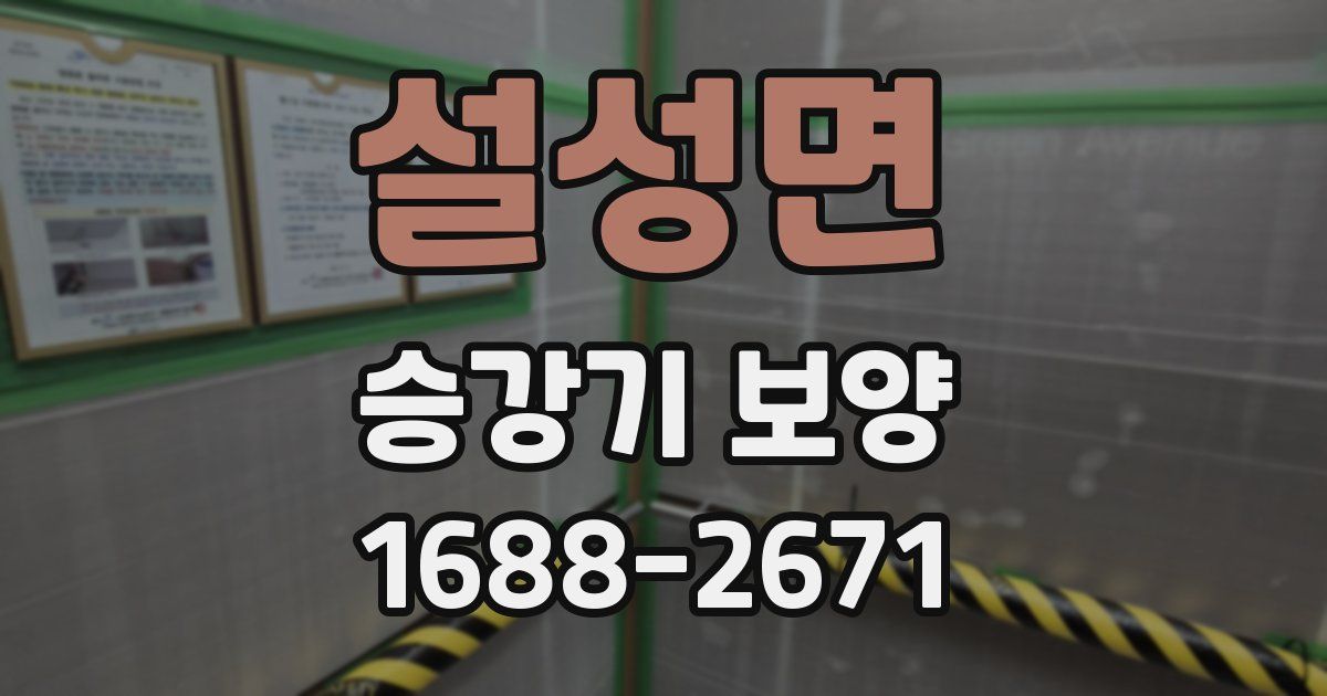 설성면 승강기 보양