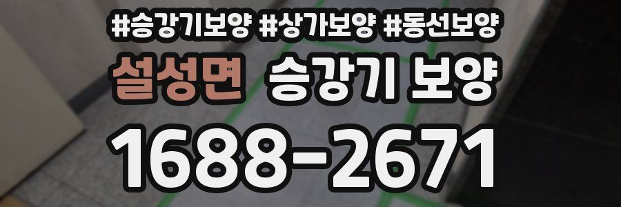 설성면 승강기 보양